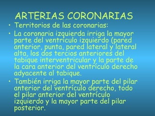 ARTERIAS CORONARIAS
• Territorios de las coronarias:
• La coronaria izquierda irriga la mayor
parte del ventrículo izquierdo (pared
anterior, punta, pared lateral y lateral
alta, los dos tercios anteriores del
tabique interventricular y la parte de
la cara anterior del ventrículo derecho
adyacente al tabique.
• También irriga la mayor parte del pilar
anterior del ventrículo derecho, todo
el pilar anterior del ventrículo
izquierdo y la mayor parte del pilar
posterior.
 