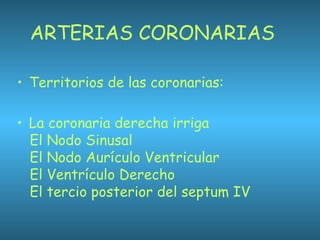 ARTERIAS CORONARIAS
• Territorios de las coronarias:
• La coronaria derecha irriga
El Nodo Sinusal
El Nodo Aurículo Ventricular
El Ventrículo Derecho
El tercio posterior del septum IV
 