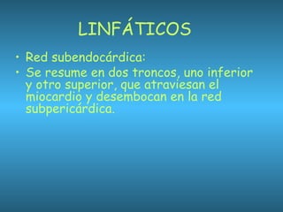LINFÁTICOS
• Red subendocárdica:
• Se resume en dos troncos, uno inferior
y otro superior, que atraviesan el
miocardio y desembocan en la red
subpericárdica.
 