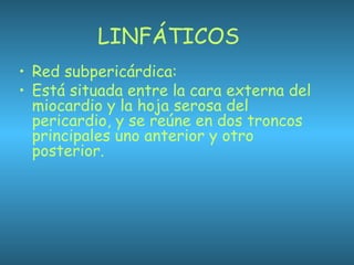 LINFÁTICOS
• Red subpericárdica:
• Está situada entre la cara externa del
miocardio y la hoja serosa del
pericardio, y se reúne en dos troncos
principales uno anterior y otro
posterior.
 