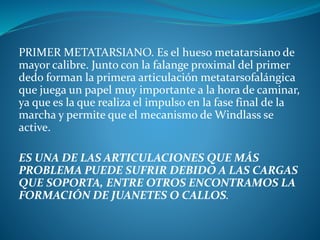 PRIMER METATARSIANO. Es el hueso metatarsiano de
mayor calibre. Junto con la falange proximal del primer
dedo forman la primera articulación metatarsofalángica
que juega un papel muy importante a la hora de caminar,
ya que es la que realiza el impulso en la fase final de la
marcha y permite que el mecanismo de Windlass se
active.
ES UNA DE LAS ARTICULACIONES QUE MÁS
PROBLEMA PUEDE SUFRIR DEBIDO A LAS CARGAS
QUE SOPORTA, ENTRE OTROS ENCONTRAMOS LA
FORMACIÓN DE JUANETES O CALLOS.
 
