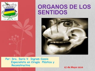 ORGANOS DE LOS
SENTIDOS
Por: Dra. Doris V. Ingram Cassis
Especialista en Cirugía Plástica y
Reconstructiva
07 de Mayo 2020
 