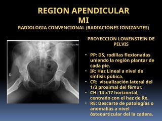Lowenstein Rx CLASE DE ANATOMIA RADIOLOGIA REGION APENDICULAR | PPTX