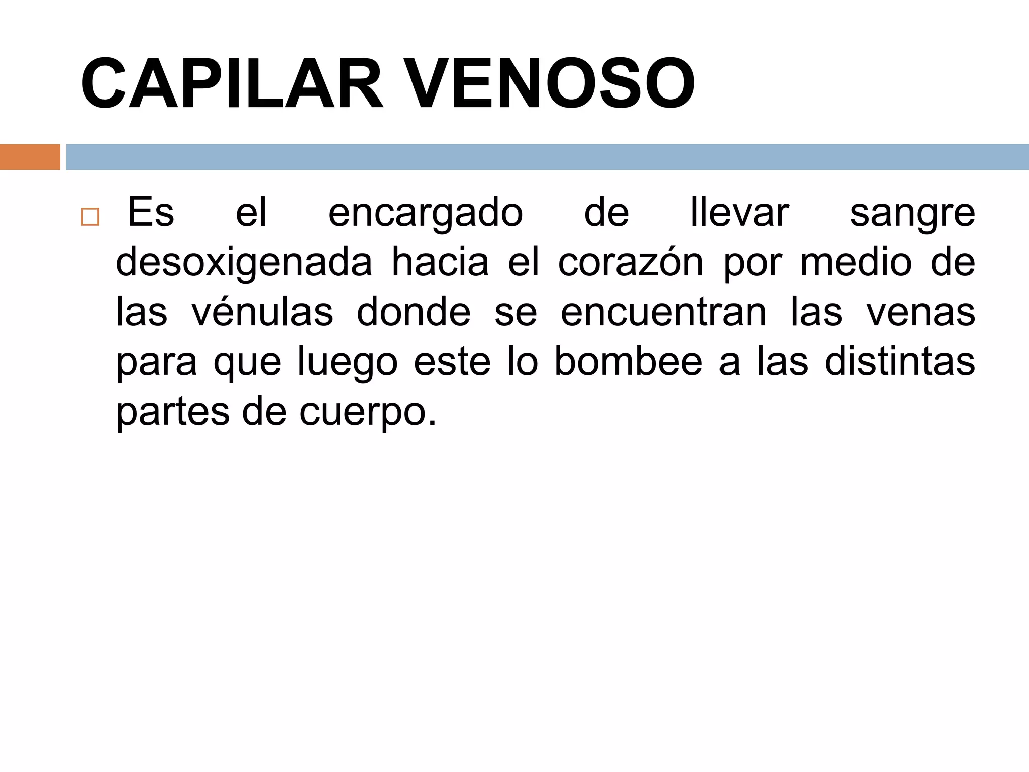 CAPILAR VENOSO
 Es el encargado de llevar sangre
desoxigenada hacia el corazón por medio de
las vénulas donde se encuentran las venas
para que luego este lo bombee a las distintas
partes de cuerpo.
 