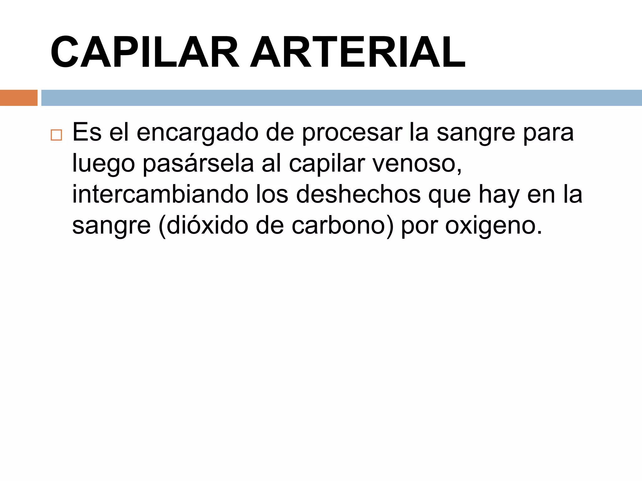 CAPILAR ARTERIAL
 Es el encargado de procesar la sangre para
luego pasársela al capilar venoso,
intercambiando los deshechos que hay en la
sangre (dióxido de carbono) por oxigeno.
 