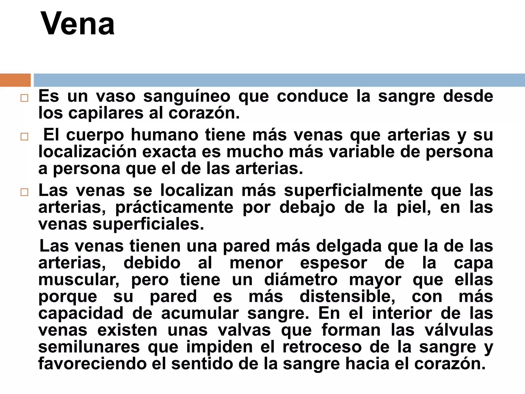 Vena
 Es un vaso sanguíneo que conduce la sangre desde
los capilares al corazón.
 El cuerpo humano tiene más venas que arterias y su
localización exacta es mucho más variable de persona
a persona que el de las arterias.
 Las venas se localizan más superficialmente que las
arterias, prácticamente por debajo de la piel, en las
venas superficiales.
Las venas tienen una pared más delgada que la de las
arterias, debido al menor espesor de la capa
muscular, pero tiene un diámetro mayor que ellas
porque su pared es más distensible, con más
capacidad de acumular sangre. En el interior de las
venas existen unas valvas que forman las válvulas
semilunares que impiden el retroceso de la sangre y
favoreciendo el sentido de la sangre hacia el corazón.
 