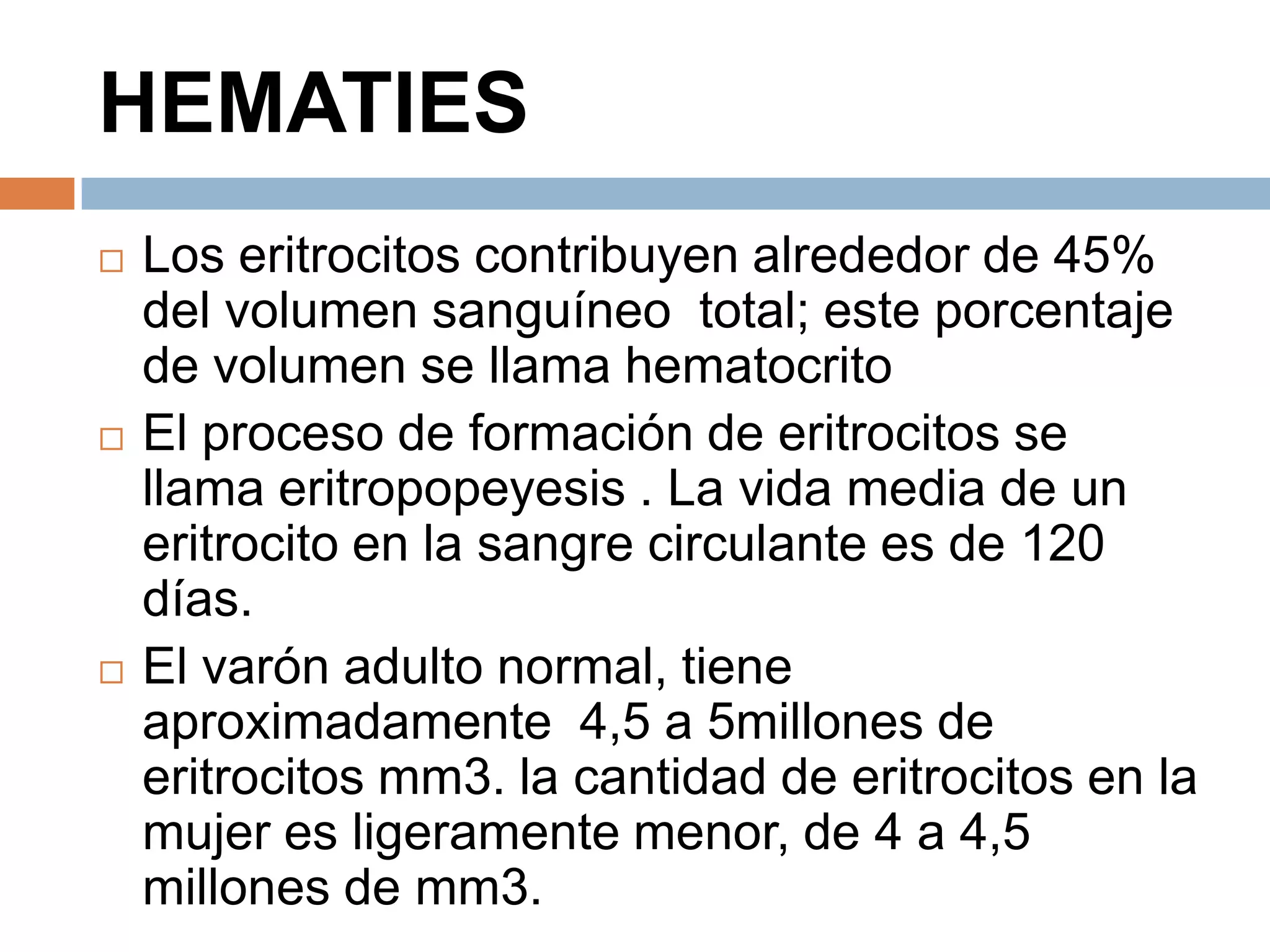 HEMATIES
 Los eritrocitos contribuyen alrededor de 45%
del volumen sanguíneo total; este porcentaje
de volumen se llama hematocrito
 El proceso de formación de eritrocitos se
llama eritropopeyesis . La vida media de un
eritrocito en la sangre circulante es de 120
días.
 El varón adulto normal, tiene
aproximadamente 4,5 a 5millones de
eritrocitos mm3. la cantidad de eritrocitos en la
mujer es ligeramente menor, de 4 a 4,5
millones de mm3.
 
