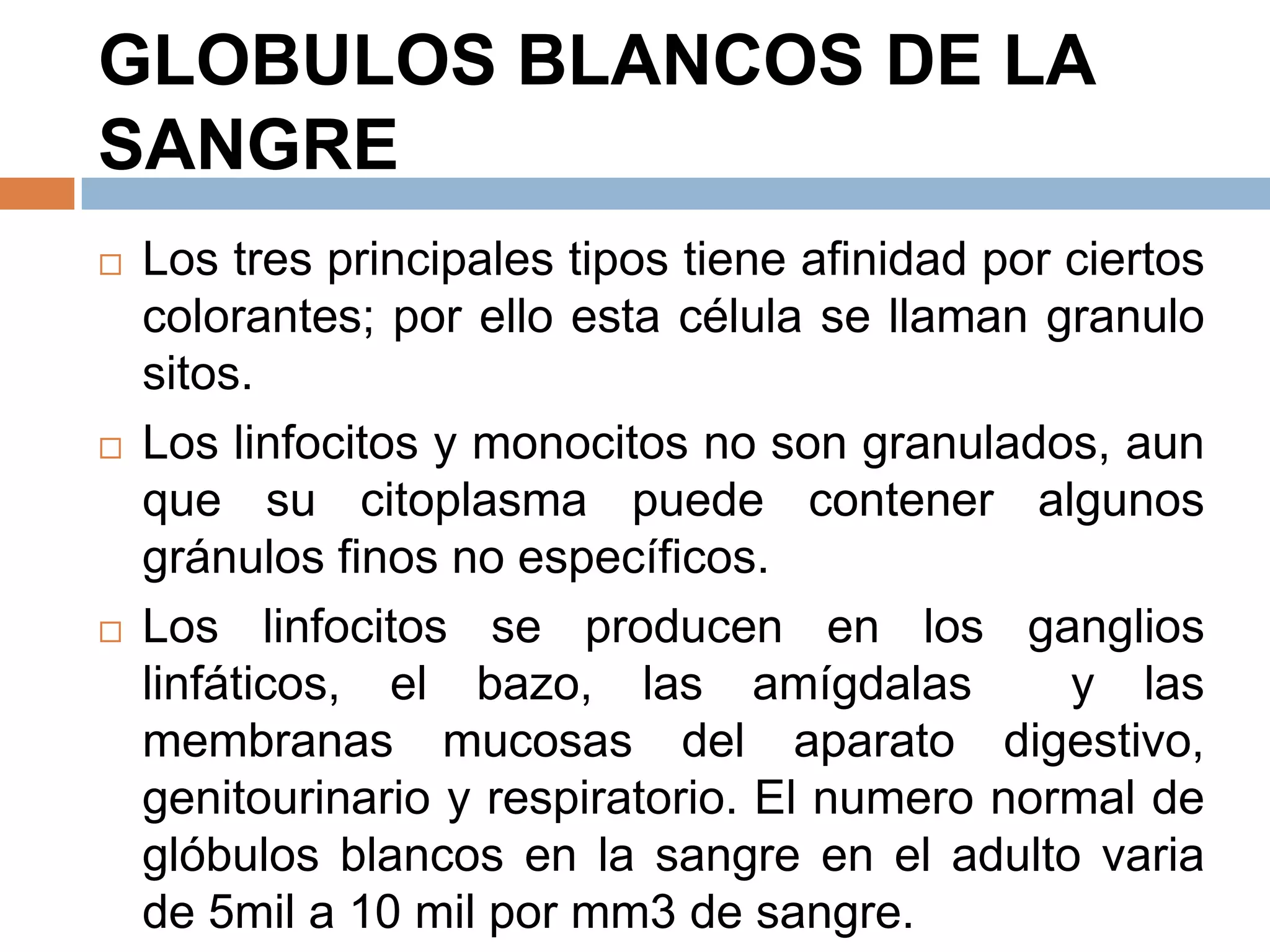 GLOBULOS BLANCOS DE LA
SANGRE
 Los tres principales tipos tiene afinidad por ciertos
colorantes; por ello esta célula se llaman granulo
sitos.
 Los linfocitos y monocitos no son granulados, aun
que su citoplasma puede contener algunos
gránulos finos no específicos.
 Los linfocitos se producen en los ganglios
linfáticos, el bazo, las amígdalas y las
membranas mucosas del aparato digestivo,
genitourinario y respiratorio. El numero normal de
glóbulos blancos en la sangre en el adulto varia
de 5mil a 10 mil por mm3 de sangre.
 