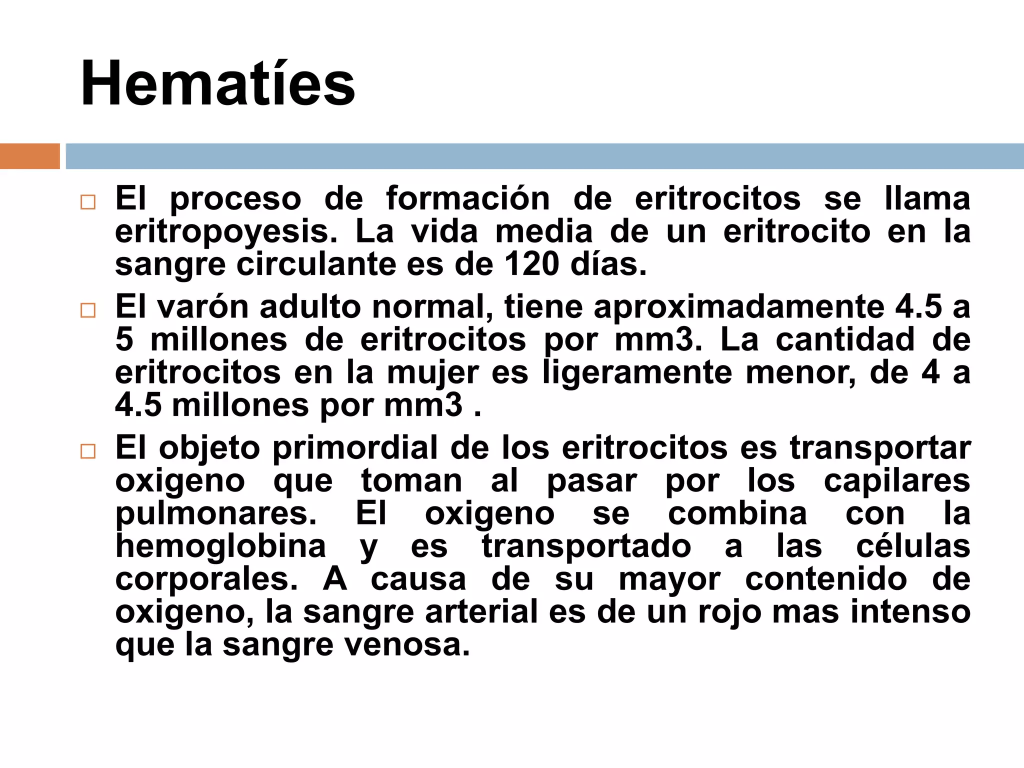Hematíes
 El proceso de formación de eritrocitos se llama
eritropoyesis. La vida media de un eritrocito en la
sangre circulante es de 120 días.
 El varón adulto normal, tiene aproximadamente 4.5 a
5 millones de eritrocitos por mm3. La cantidad de
eritrocitos en la mujer es ligeramente menor, de 4 a
4.5 millones por mm3 .
 El objeto primordial de los eritrocitos es transportar
oxigeno que toman al pasar por los capilares
pulmonares. El oxigeno se combina con la
hemoglobina y es transportado a las células
corporales. A causa de su mayor contenido de
oxigeno, la sangre arterial es de un rojo mas intenso
que la sangre venosa.
 