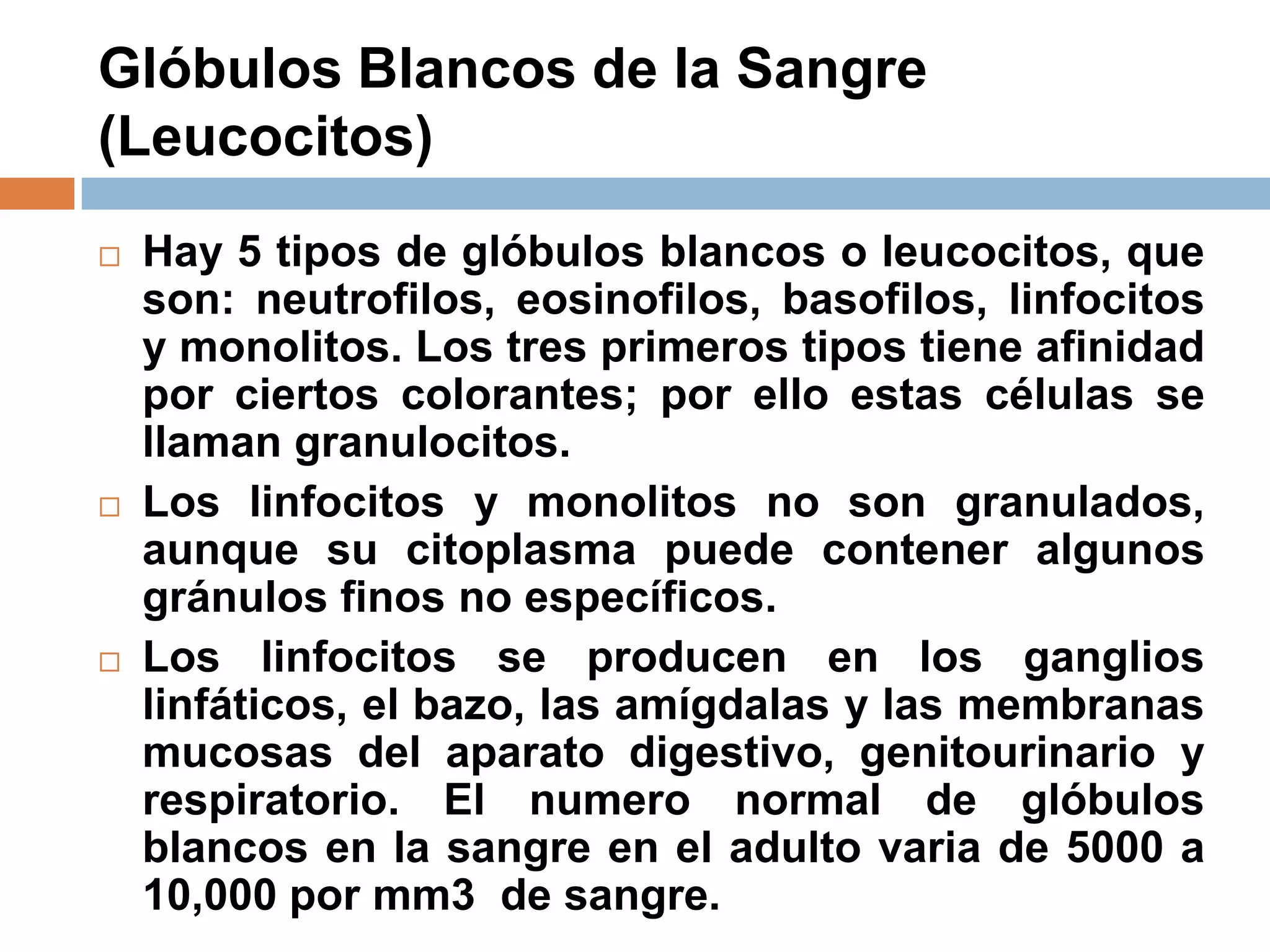 Glóbulos Blancos de la Sangre
(Leucocitos)
 Hay 5 tipos de glóbulos blancos o leucocitos, que
son: neutrofilos, eosinofilos, basofilos, linfocitos
y monolitos. Los tres primeros tipos tiene afinidad
por ciertos colorantes; por ello estas células se
llaman granulocitos.
 Los linfocitos y monolitos no son granulados,
aunque su citoplasma puede contener algunos
gránulos finos no específicos.
 Los linfocitos se producen en los ganglios
linfáticos, el bazo, las amígdalas y las membranas
mucosas del aparato digestivo, genitourinario y
respiratorio. El numero normal de glóbulos
blancos en la sangre en el adulto varia de 5000 a
10,000 por mm3 de sangre.
 