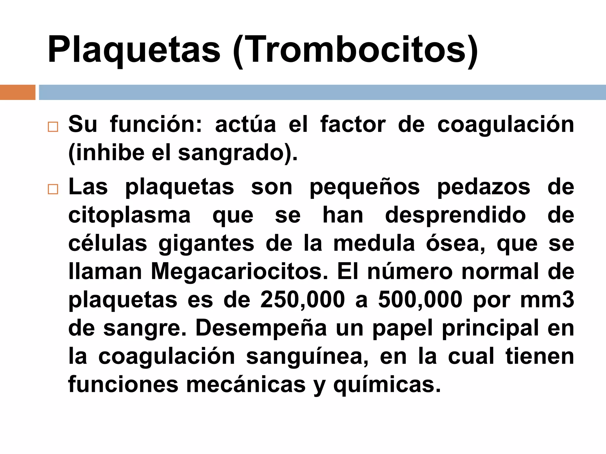 Plaquetas (Trombocitos)
 Su función: actúa el factor de coagulación
(inhibe el sangrado).
 Las plaquetas son pequeños pedazos de
citoplasma que se han desprendido de
células gigantes de la medula ósea, que se
llaman Megacariocitos. El número normal de
plaquetas es de 250,000 a 500,000 por mm3
de sangre. Desempeña un papel principal en
la coagulación sanguínea, en la cual tienen
funciones mecánicas y químicas.
 