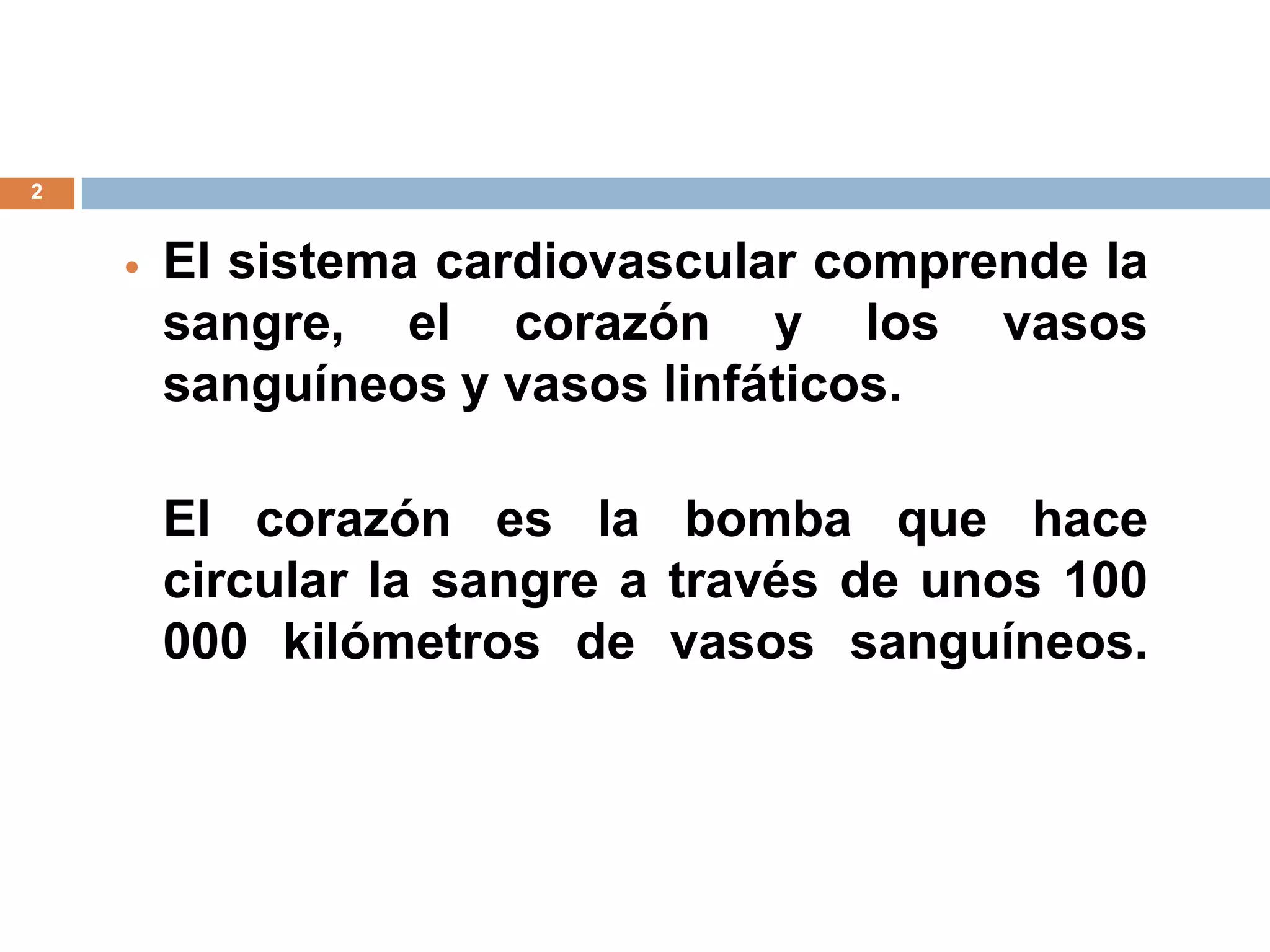 2
 El sistema cardiovascular comprende la
sangre, el corazón y los vasos
sanguíneos y vasos linfáticos.
El corazón es la bomba que hace
circular la sangre a través de unos 100
000 kilómetros de vasos sanguíneos.
 