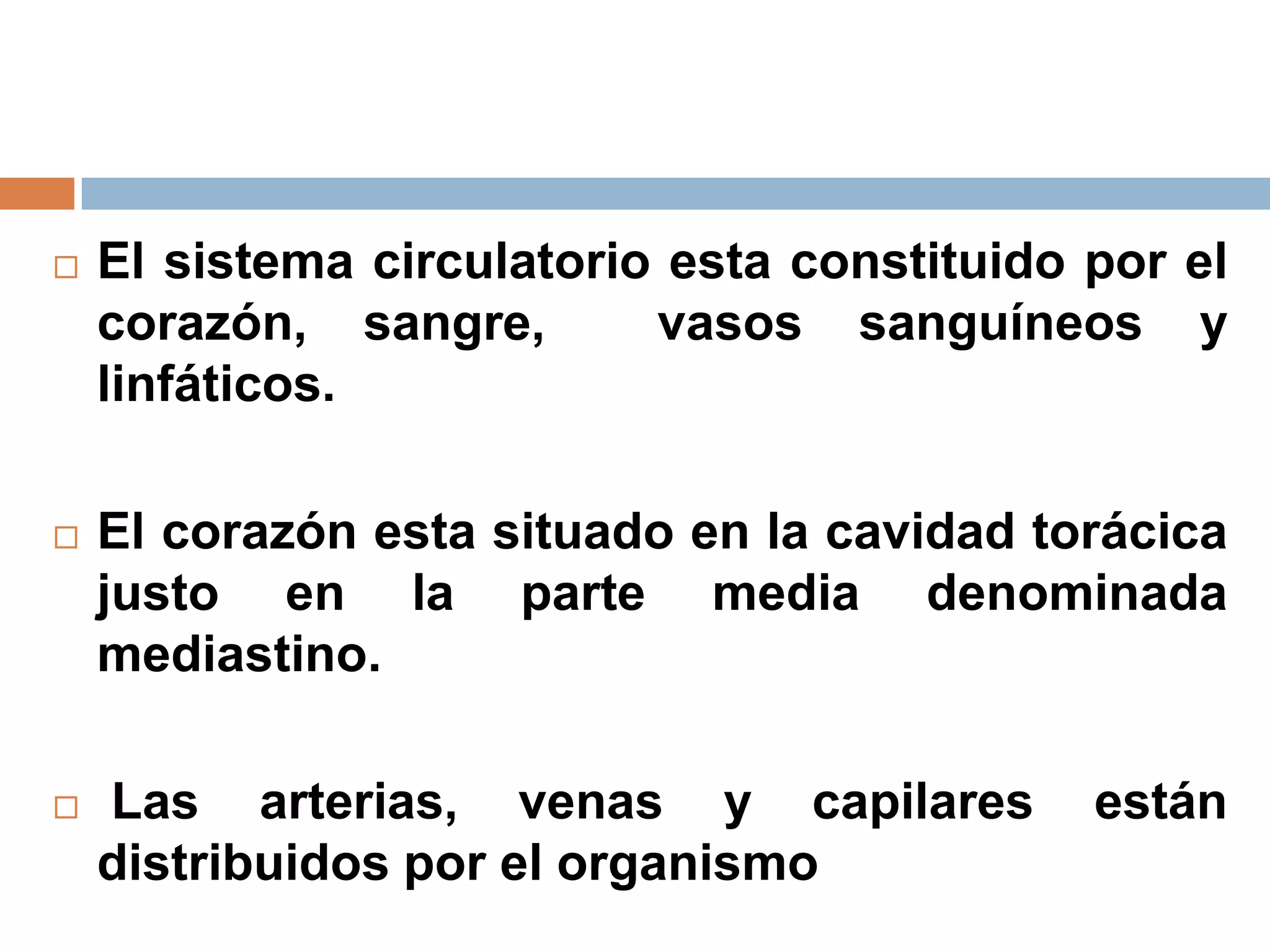  El sistema circulatorio esta constituido por el
corazón, sangre, vasos sanguíneos y
linfáticos.
 El corazón esta situado en la cavidad torácica
justo en la parte media denominada
mediastino.
 Las arterias, venas y capilares están
distribuidos por el organismo
 