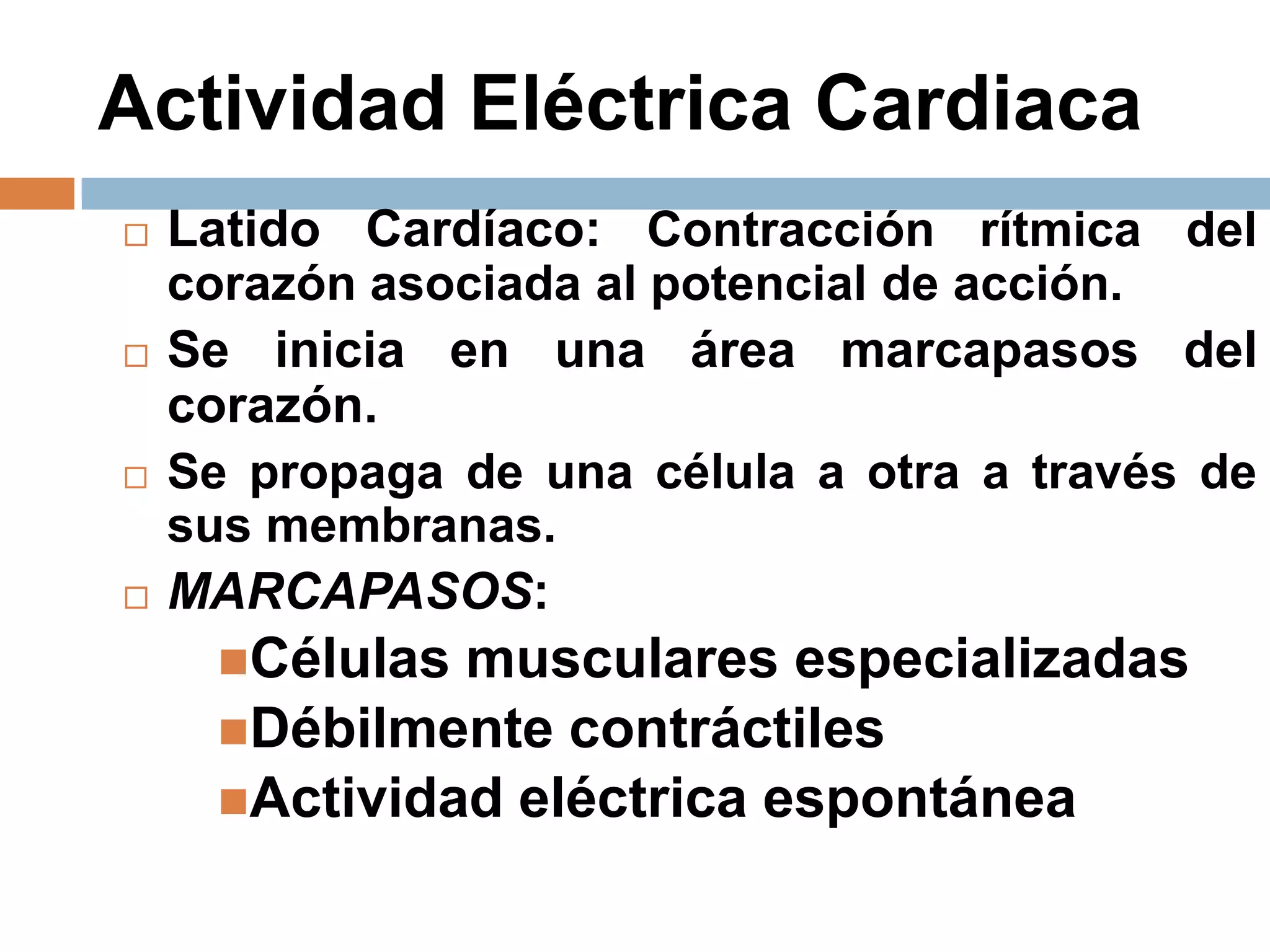 Actividad Eléctrica Cardiaca
 Latido Cardíaco: Contracción rítmica del
corazón asociada al potencial de acción.
 Se inicia en una área marcapasos del
corazón.
 Se propaga de una célula a otra a través de
sus membranas.
 MARCAPASOS:
Células musculares especializadas
Débilmente contráctiles
Actividad eléctrica espontánea
 
