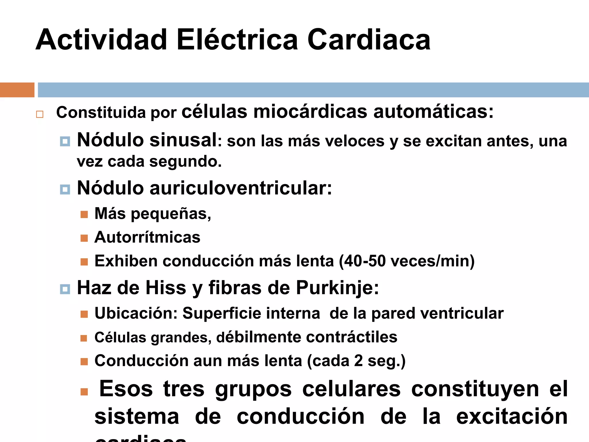 Actividad Eléctrica Cardiaca
 Constituida por células miocárdicas automáticas:
 Nódulo sinusal: son las más veloces y se excitan antes, una
vez cada segundo.
 Nódulo auriculoventricular:
 Más pequeñas,
 Autorrítmicas
 Exhiben conducción más lenta (40-50 veces/min)
 Haz de Hiss y fibras de Purkinje:
 Ubicación: Superficie interna de la pared ventricular
 Células grandes, débilmente contráctiles
 Conducción aun más lenta (cada 2 seg.)
 Esos tres grupos celulares constituyen el
sistema de conducción de la excitación
 