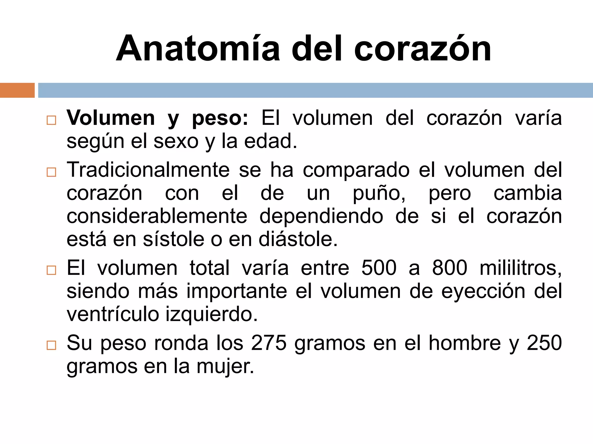 Anatomía del corazón
 Volumen y peso: El volumen del corazón varía
según el sexo y la edad.
 Tradicionalmente se ha comparado el volumen del
corazón con el de un puño, pero cambia
considerablemente dependiendo de si el corazón
está en sístole o en diástole.
 El volumen total varía entre 500 a 800 mililitros,
siendo más importante el volumen de eyección del
ventrículo izquierdo.
 Su peso ronda los 275 gramos en el hombre y 250
gramos en la mujer.
 