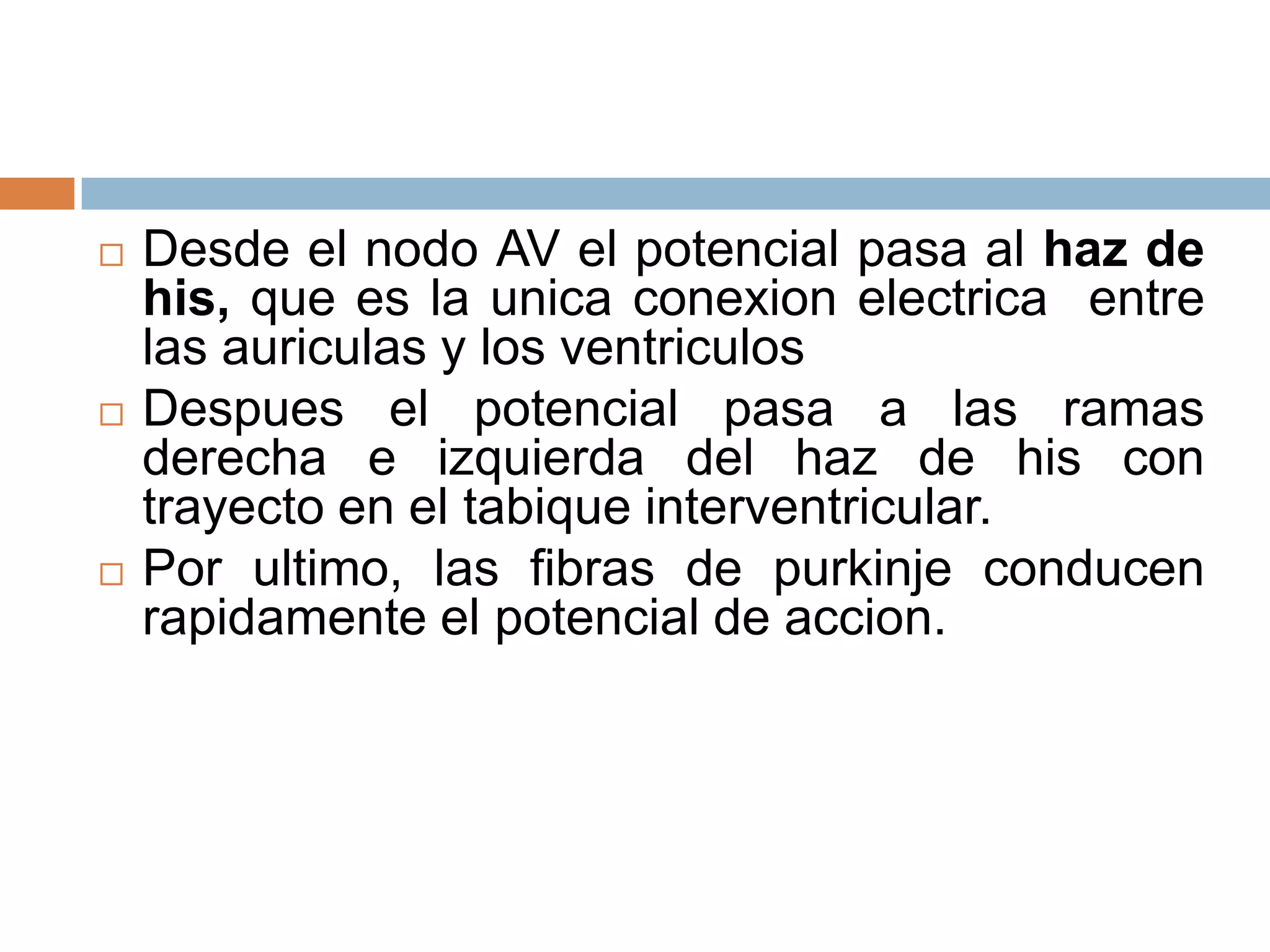  Desde el nodo AV el potencial pasa al haz de
his, que es la unica conexion electrica entre
las auriculas y los ventriculos
 Despues el potencial pasa a las ramas
derecha e izquierda del haz de his con
trayecto en el tabique interventricular.
 Por ultimo, las fibras de purkinje conducen
rapidamente el potencial de accion.
 