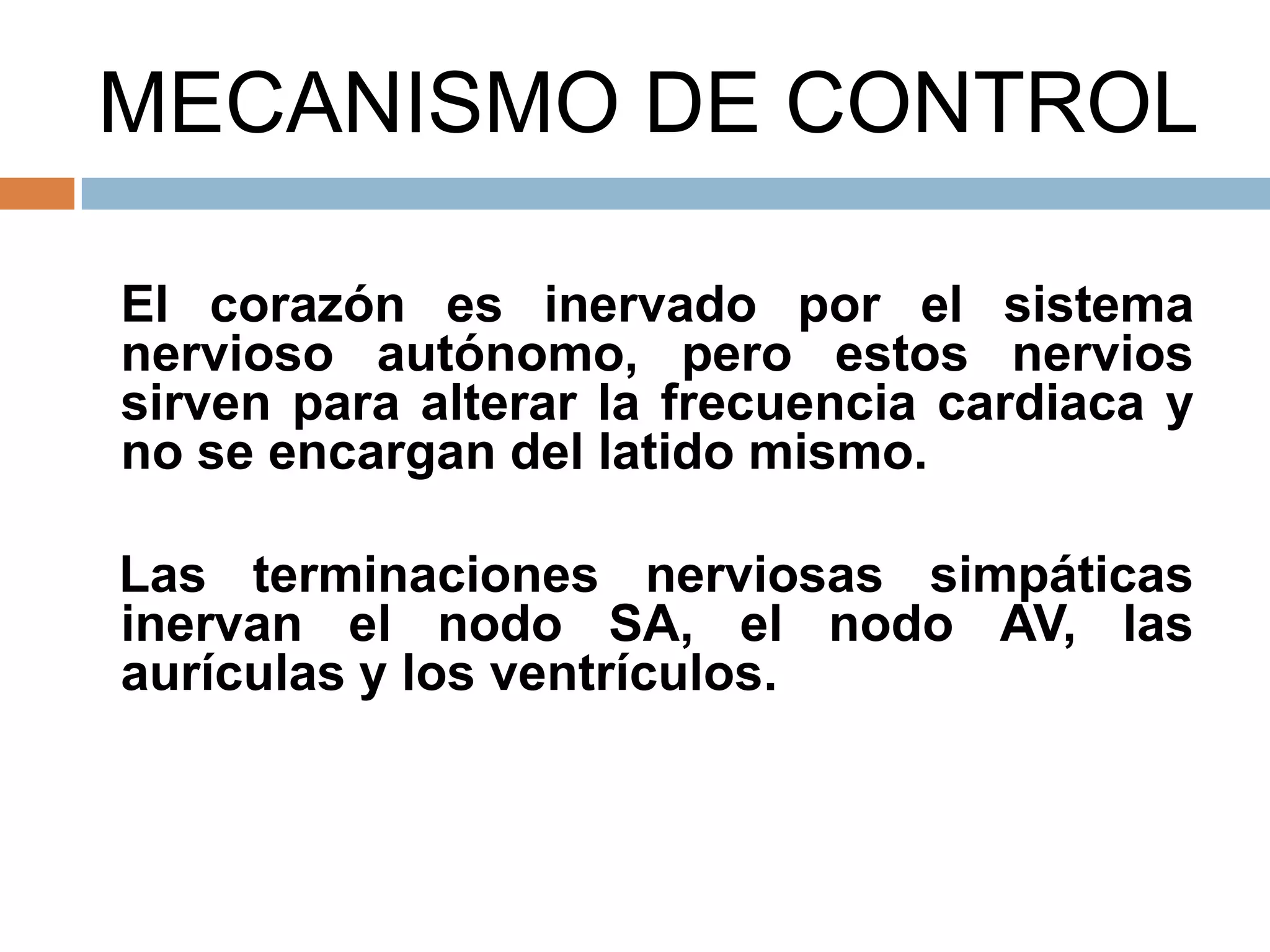 MECANISMO DE CONTROL
El corazón es inervado por el sistema
nervioso autónomo, pero estos nervios
sirven para alterar la frecuencia cardiaca y
no se encargan del latido mismo.
Las terminaciones nerviosas simpáticas
inervan el nodo SA, el nodo AV, las
aurículas y los ventrículos.
 
