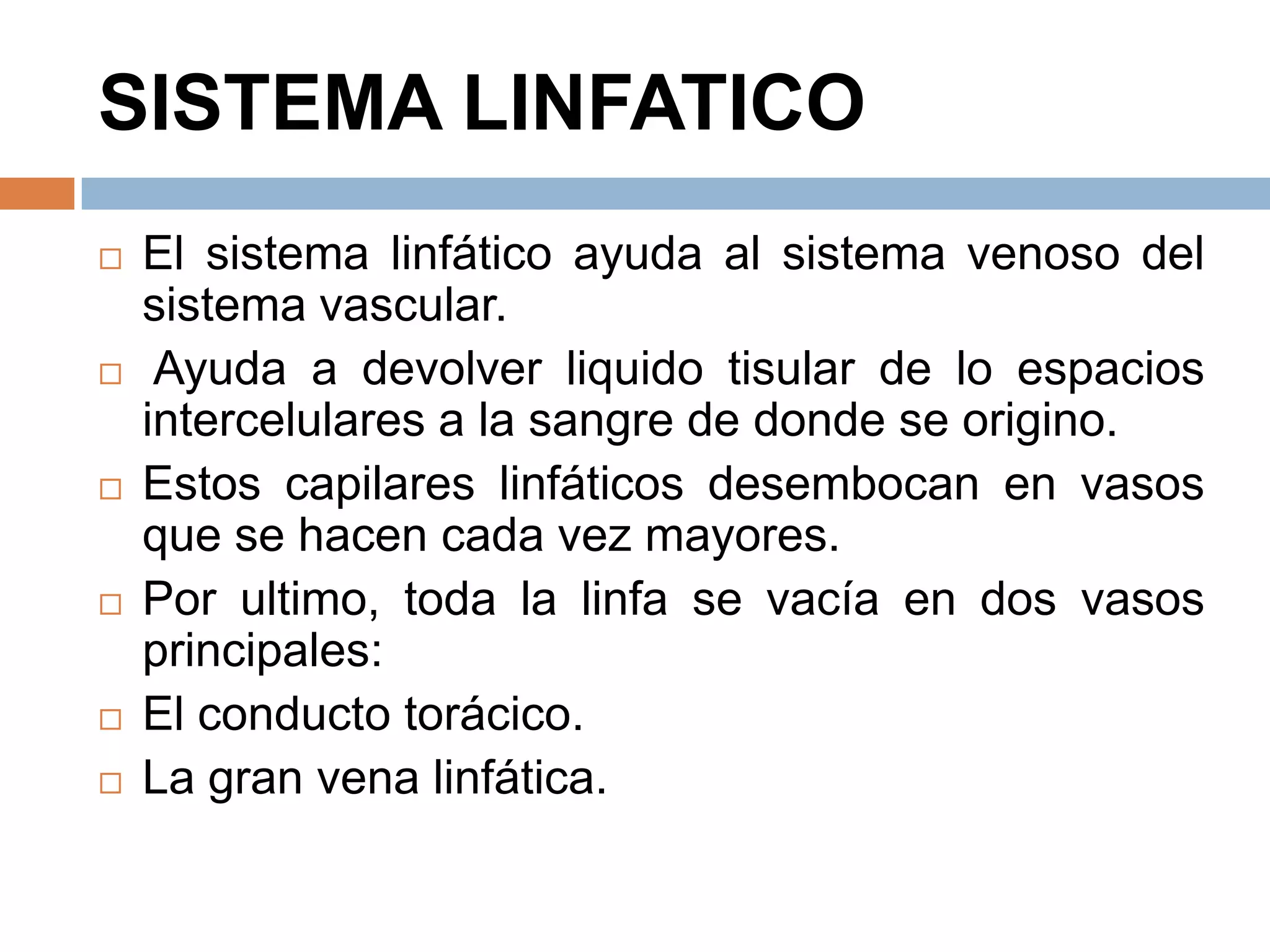 SISTEMA LINFATICO
 El sistema linfático ayuda al sistema venoso del
sistema vascular.
 Ayuda a devolver liquido tisular de lo espacios
intercelulares a la sangre de donde se origino.
 Estos capilares linfáticos desembocan en vasos
que se hacen cada vez mayores.
 Por ultimo, toda la linfa se vacía en dos vasos
principales:
 El conducto torácico.
 La gran vena linfática.
 