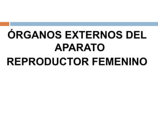 ÓRGANOS EXTERNOS DEL
APARATO
REPRODUCTOR FEMENINO
 