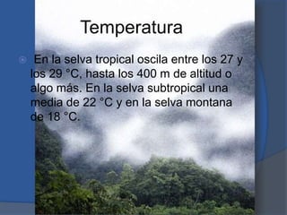 Temperatura
 En la selva tropical oscila entre los 27 y
los 29 °C, hasta los 400 m de altitud o
algo más. En la selva subtropical una
media de 22 °C y en la selva montana
de 18 °C.
 