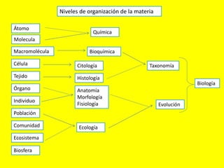 Niveles de organización de la materia
Átomo
Molecula
Macromolécula
Célula
Tejido
Órgano
Individuo
Población
Comunidad
Ecosistema
Biosfera
Citología
Bioquímica
Química
Histología
Ecología
Anatomía
Morfología
Fisiología Evolución
Taxonomía
Biología
 