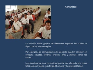 La relación entre grupos de diferentes especies las cuales se
rigen por las mismas reglas .
Por ejemplo, las comunidades del desierto pueden consistir en
conejos, coyotes, víboras, ratones, aves y plantas como los
cactus.
La estructura de una comunidad puede ser alterada por cosas
tales como el fuego, la actividad humana y la sobrepoblación.
Comunidad
 
