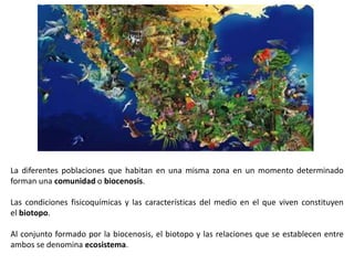 La diferentes poblaciones que habitan en una misma zona en un momento determinado
forman una comunidad o biocenosis.
Las condiciones fisicoquímicas y las características del medio en el que viven constituyen
el biotopo.
Al conjunto formado por la biocenosis, el biotopo y las relaciones que se establecen entre
ambos se denomina ecosistema.
 