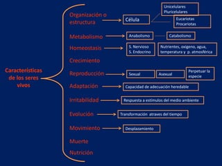 Características
de los seres
vivos
Organización o
estructura
Metabolismo
Homeostasis
Crecimiento
Reproducción
Adaptación
Irritabilidad
Evolución
Movimiento
Muerte
Nutrición
Célula
Unicelulares
Pluricelulares
Eucariotas
Procariotas
Anabolismo Catabolismo
S. Nervioso
S. Endocrino
Nutrientes, oxigeno, agua,
temperatura y p. atmosférica
Sexual Asexual
Perpetuar la
especie
Capacidad de adecuación heredable
Respuesta a estímulos del medio ambiente
Transformación atraves del tiempo
Desplazamiento
 