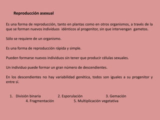 Reproducción asexual
Es una forma de reproducción, tanto en plantas como en otros organismos, a través de la
que se forman nuevos individuos idénticos al progenitor, sin que intervengan gametos.
Sólo se requiere de un organismo.
Es una forma de reproducción rápida y simple.
Pueden formarse nuevos individuos sin tener que producir células sexuales.
Un individuo puede formar un gran número de descendientes.
En los descendientes no hay variabilidad genética, todos son iguales a su progenitor y
entre sí.
1. División binaria 2. Esporulación 3. Gemación
4. Fragmentación 5. Multiplicación vegetativa
 