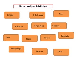 Ciencias auxiliares de la biología
Etología C. De la salud
Astrofísica
Física
Genética
Lógica
Antropología
Historia
Química Fisica
matemáticas
Sociología
Ética
 