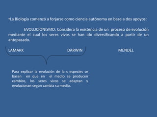 •La Biología comenzó a forjarse como ciencia autónoma en base a dos apoyos:
EVOLUCIONISMO: Considera la existencia de un proceso de evolución
mediante el cual los seres vivos se han ido diversificando a partir de un
antepasado.
LAMARK DARWIN MENDEL
Para explicar la evolución de la s especies se
basan en que en el medio se producen
cambios, los seres vivos se adaptan y
evolucionan según cambia su medio.
 