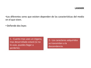 LAMARK
•Los diferentes seres que existen dependen de las características del medio
en el que viven.
• Defiende dos leyes
1.- Cuanto mas uses un órgano,
mas desarrollado estará (si no
lo usas, puedes llegar a
perderlo).
2.- Los caracteres adquiridos
se transmiten a la
descendencia.
 