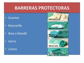 Clase de bioseguridad