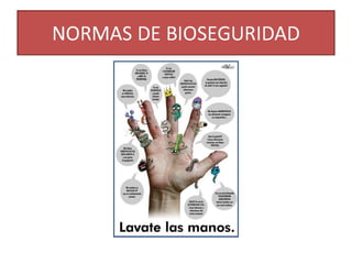 Clase de bioseguridad