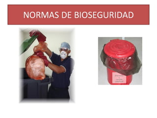 Clase de bioseguridad
