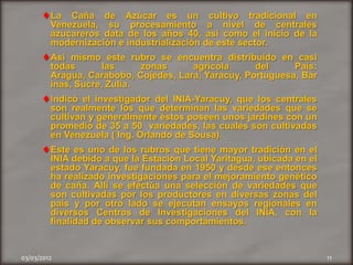 La Caña de Azúcar es un cultivo tradicional en
         Venezuela, su procesamiento a nivel de centrales
         azucareros data de los años 40, así como el inicio de la
         modernización e industrialización de este sector.
         Así mismo este rubro se encuentra distribuido en casi
         todas       las     zonas     agrícola      del     País:
         Aragua, Carabobo, Cojedes, Lara, Yaracuy, Portuguesa, Bar
         inas, Sucre, Zulia.
         Indicó el investigador del INIA-Yaracuy, que los centrales
         son realmente los que determinan las variedades que se
         cultivan y generalmente éstos poseen unos jardines con un
         promedio de 35 a 50 variedades, las cuales son cultivadas
         en Venezuela ( Ing. Orlando de Sousa).
         Este es uno de los rubros que tiene mayor tradición en el
         INIA debido a que la Estación Local Yaritagua, ubicada en el
         estado Yaracuy, fue fundada en 1950 y desde ese entonces
         ha realizado investigaciones para el mejoramiento genético
         de caña. Allí se efectúa una selección de variedades que
         son cultivadas por los productores en diversas zonas del
         país y por otro lado se ejecutan ensayos regionales en
         diversos Centros de Investigaciones del INIA, con la
         finalidad de observar sus comportamientos.


03/03/2012                                                              11
 