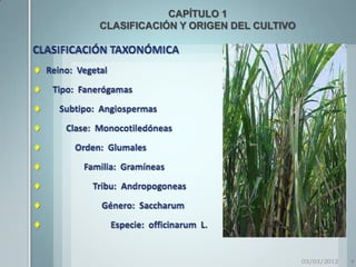CAPÍTULO 1
CLASIFICACIÓN Y ORIGEN DEL CULTIVO




                                     03/03/2012   4
 