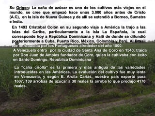 Su Origen: La caña de azúcar es uno de los cultivos más viejos en el
mundo, se cree que empezó hace unos 3.000 años antes de Cristo
(A.C), en la isla de Nueva Guinea y de allí se extendió a Borneo, Sumatra
e India.
 En 1493 Cristóbal Colón en su segundo viaje a América la trajo a las
 islas del Caribe, particularmente a la isla La Española, la cual
 corresponde hoy a República Dominicana y Haití de donde se difundió
 posteriormente a Cuba, Puerto Rico, México, Colombia y Perú. Al Brasil
 fue introducida por los Portugueses alrededor del año 1500.
  A Venezuela entró por la ciudad de Santa Ana de Coro en 1540, traída
  por Don Juan de Ampíes fundador de Coro, quien la cultivaba con éxito
  en Santo Domingo, República Dominicana

  La “caña criolla” es la primera y más antigua de las variedades
  introducidas en las Américas. La evolución del cultivo fue muy lenta
  en Venezuela, y según E. Arcila Carias, nuestro país exportó para
  1607, 139 arrobas de azúcar a 30 reales la arroba lo que produjo 4170
  reales.
 