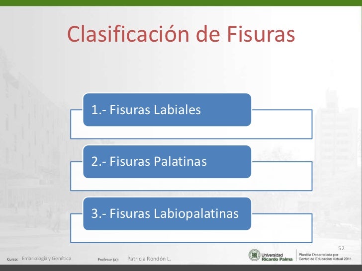 Clase de cabeza y cuello Clase de cabeza y cuello