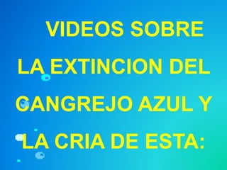 VIDEOS SOBRE
LA EXTINCION DEL
CANGREJO AZUL Y
LA CRIA DE ESTA:
 