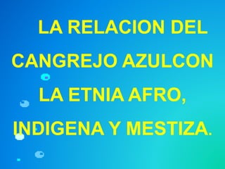 LA RELACION DEL
CANGREJO AZULCON
LA ETNIA AFRO,
INDIGENA Y MESTIZA.
 
