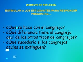 MOMENTO DE REFLEXION
ESTIMULAR A LOS ESTUDIANTES PARA RESPONDER
PREGUNTAS…
• ¿Qué se hace con el cangrejo?
• ¿Qué diferencia tiene el cangrejo
azul de los otros tipos de cangrejos?
• ¿Qué sucedería si los cangrejos
azules se extinguen?
 