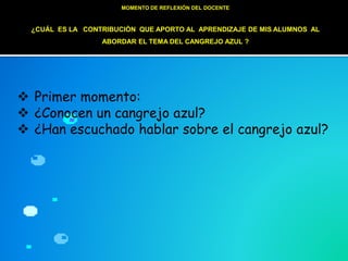 MOMENTO DE REFLEXIÓN DEL DOCENTE
¿CUÁL ES LA CONTRIBUCIÒN QUE APORTO AL APRENDIZAJE DE MIS ALUMNOS AL
ABORDAR EL TEMA DEL CANGREJO AZUL ?
 Primer momento:
 ¿Conocen un cangrejo azul?
 ¿Han escuchado hablar sobre el cangrejo azul?
 