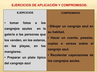 EJERCICIOS DE APLICACIÓN Y COMPROMISOS:
EJERCICIOS
• tomar fotos a los
cangrejos azules en la
galería a las personas que
los venden, en los esteros,
en las playas, en los
manglares.
• Preparar un plato típico
del cangrejo azul
COMPROMISOS
• Dibujar un cangrejo azul en
su habitad.
• Hacer un cuento, poesías,
coplas o versos sobre el
cangrejo azul.
• Recolectar caparazones de
los cangrejos azules.
 