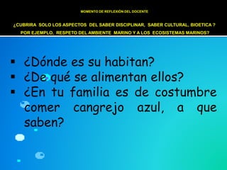 MOMENTO DE REFLEXIÓN DEL DOCENTE
¿CUBRIRA SOLO LOS ASPECTOS DEL SABER DISCIPLINAR, SABER CULTURAL, BIOETICA ?
POR EJEMPLO, RESPETO DEL AMBIENTE MARINO Y A LOS ECOSISTEMAS MARINOS?
 ¿Dónde es su habitan?
 ¿De qué se alimentan ellos?
 ¿En tu familia es de costumbre
comer cangrejo azul, a que
saben?
 