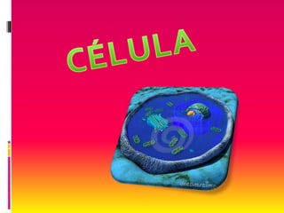 Célula