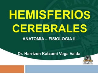 ANATOMIA – FISIOLOGIA II
Dr. Harrizon Katzumi Vega Valda
HEMISFERIOS
CEREBRALES
 