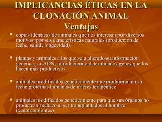 IMPLICANCIAS ÉTICAS EN LAIMPLICANCIAS ÉTICAS EN LA
CLONACIÓN ANIMALCLONACIÓN ANIMAL
VentajasVentajas
 copias idénticas de animales que nos interesan por diversoscopias idénticas de animales que nos interesan por diversos
motivos: por sus características naturales (producción demotivos: por sus características naturales (producción de
leche, salud, longevidad)leche, salud, longevidad)
 plantas y animales a los que se a alterado su informaciónplantas y animales a los que se a alterado su información
genética, su ADN, introduciendo determinados genes que losgenética, su ADN, introduciendo determinados genes que los
hacen más productivoshacen más productivos
 animales modificados genéticamente que produjeran en suanimales modificados genéticamente que produjeran en su
leche proteínas humanas de interés terapéuticoleche proteínas humanas de interés terapéutico
 animales modificados genéticamente para que sus órganos noanimales modificados genéticamente para que sus órganos no
produzcan rechazo al ser transplantados al hombreproduzcan rechazo al ser transplantados al hombre
(xenotranplantes)(xenotranplantes)
 