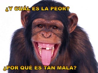 ¿Y cuál es la peor?¿Por qué es tan mala?